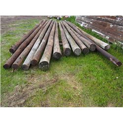 13 Power Poles of Various Sizes