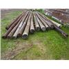 Image 1 : 13 Power Poles of Various Sizes