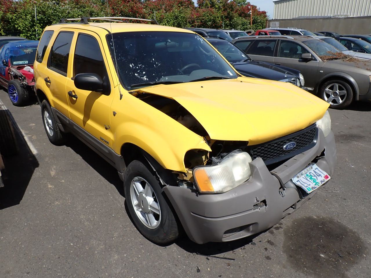 Ford escape 2001 год