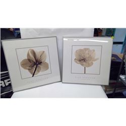 TWO PICTURES BY ALAN NEWNHAN