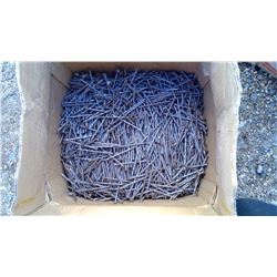 2 1/2" Helix Spiral Nails