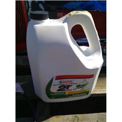 Castrol Snowmobile Oil