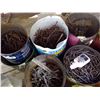 Image 3 : Large Lot of Misc. Nails etc.