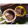 Image 5 : Large Lot of Misc. Nails etc.