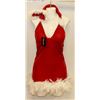 Image 1 : PEECABOO 2PC WOMENS ADULT THEMED RED SANTA COSTUME
