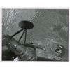 Image 1 : Mercury Original Vintage NASA and Press Photograph Archive