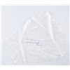 Image 1 : Walt Cunningham Signed Parachute Fabric