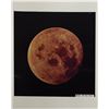 Image 2 : Apollo 11 and 12 Original Vintage Negative and Transparency Collection