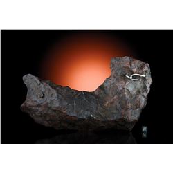 Gibeon "Moon Boot" Meteorite