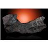 Image 2 : Gibeon "Moon Boot" Meteorite