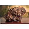 Image 1 : Canyon Diablo Meteorite