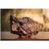 Image 2 : Canyon Diablo Meteorite