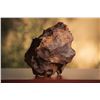 Image 3 : Canyon Diablo Meteorite