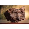 Image 4 : Canyon Diablo Meteorite