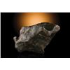 Image 8 : Canyon Diablo Meteorite