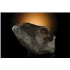 Image 9 : Canyon Diablo Meteorite