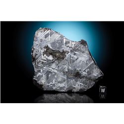 Toluca Meteorite Slice