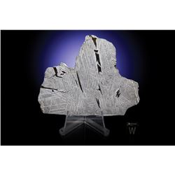 Saint-Aubin Meteorite Full Slice