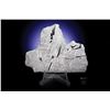 Image 2 : Saint-Aubin Meteorite Full Slice