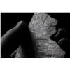 Image 4 : Saint-Aubin Meteorite Full Slice