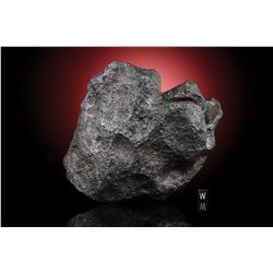 Campo del Cielo Meteorite (With Hole)