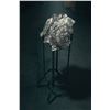 Image 11 : Campo del Cielo Meteorite on Custom Stand