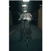 Image 13 : Campo del Cielo Meteorite on Custom Stand
