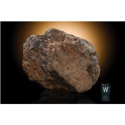 Wolf Creek Meteorite