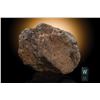 Image 1 : Wolf Creek Meteorite