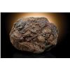 Image 2 : Wolf Creek Meteorite