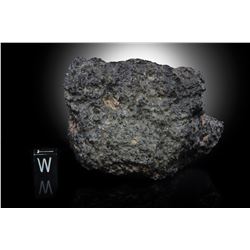 Northwest Africa (NWA) 11788 Lunar Meteorite [Personal Collection of Geoffrey Notkin]