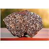 Image 1 : Sericho Meteorite