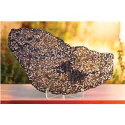 Brenham Meteorite Full Slice