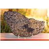 Image 1 : Brenham Meteorite Full Slice