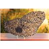 Image 2 : Brenham Meteorite Full Slice