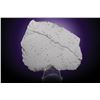 Image 1 : Dronino Meteorite Full Slice