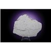 Image 2 : Dronino Meteorite Full Slice