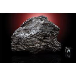 Dronino Meteorite