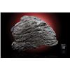Image 2 : Dronino Meteorite