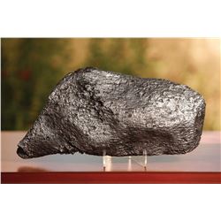 Dronino Meteorite