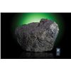 Image 1 : NWA XXX: Unnamed Space Nomad Meteorite