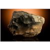 Image 1 : NWA XXX Sahara Stone Meteorite End Cut