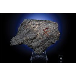 Northwest Africa (NWA) 869 Meteorite Half Stone