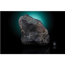Northwest Africa (NWA) 869 Meteorite