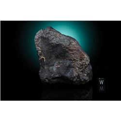 Northwest Africa (NWA) 869 Meteorite