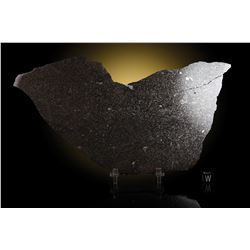 Dar el Kahal Meteorite