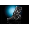 Image 2 : Sikhote-Alin Meteroite