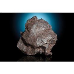 Sikhote-Alin Meteorite Shrapnel