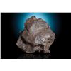 Image 1 : Sikhote-Alin Meteorite Shrapnel
