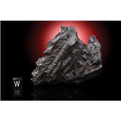 Sikhote-Alin Meteorite [Personal Collection of Geoffrey Notkin]